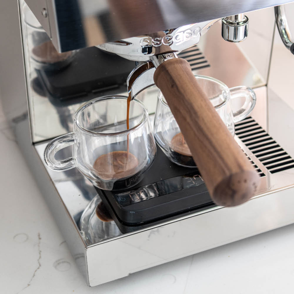 Ascaso Steel DUO PLUS PID Espresso Machine - Inox